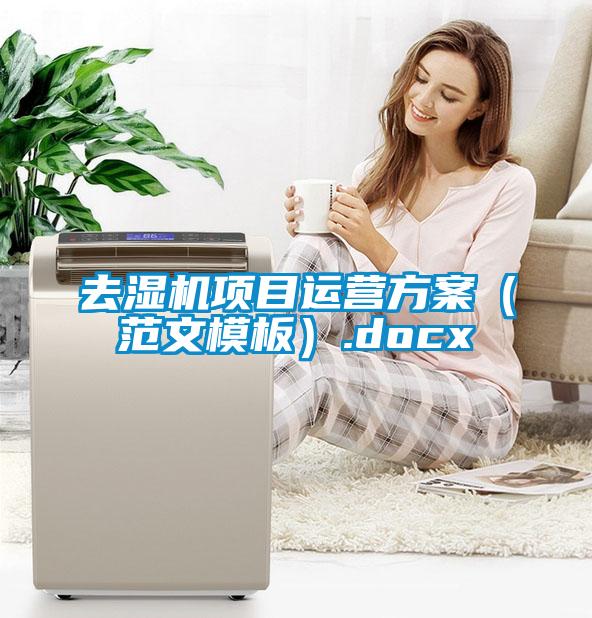 去濕機(jī)項(xiàng)目運(yùn)營(yíng)方案（范文模板）.docx