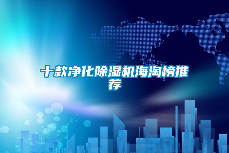 十款凈化除濕機(jī)海淘榜推薦