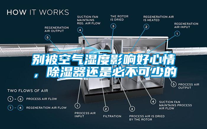 別被空氣濕度影響好心情，除濕器還是必不可少的