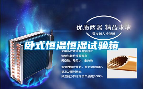 臥式恒溫恒濕試驗(yàn)箱