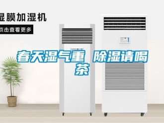 企業(yè)新聞春天濕氣重 除濕請喝茶