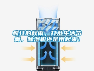 企業(yè)新聞瘋狂的秋雨，打亂生活節(jié)奏，除濕機(jī)還是用起來！