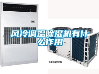 企業(yè)新聞風(fēng)冷調(diào)溫除濕機有什么作用