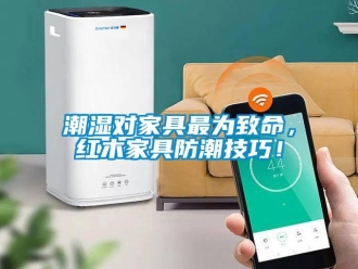 企業(yè)新聞潮濕對(duì)家具最為致命，紅木家具防潮技巧！