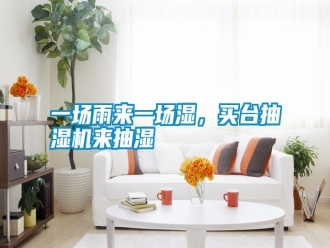 知識百科一場雨來一場濕，買臺抽濕機來抽濕