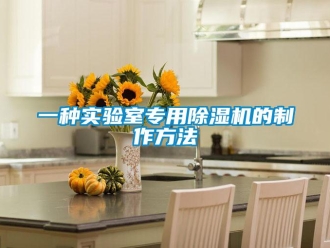 行業(yè)新聞一種實驗室專用除濕機的制作方法
