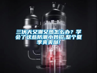 常見問題三伏天又潮又熱怎么辦？學會了這些防潮小妙招,整個夏季爽爽噠!