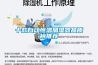 十款自動恒溫加濕器品質榜推薦