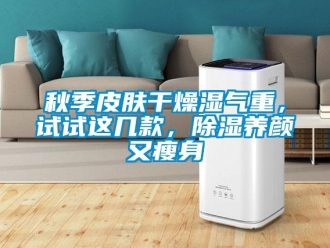 行業(yè)新聞秋季皮膚干燥濕氣重，試試這幾款，除濕養(yǎng)顏又瘦身