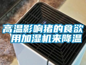 企業(yè)新聞高溫影響豬的食欲 用加濕機(jī)來降溫