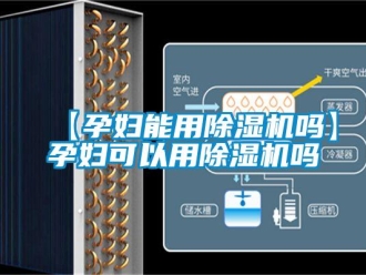 企業(yè)新聞【孕婦能用除濕機嗎】孕婦可以用除濕機嗎