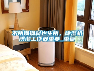 企業(yè)新聞不銹鋼鋼材也生銹，除濕機防潮工作很重要_重復