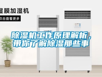 常見(jiàn)問(wèn)題除濕機(jī)工作原理解析，帶你了解除濕那些事