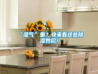 常見(jiàn)問(wèn)題“濕氣”重？快來(lái)看這些除濕妙招！
