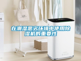 知識百科在潮濕惡劣環(huán)境中使用除濕機(jī)的重要性