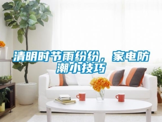 行業(yè)新聞清明時節(jié)雨紛紛，家電防潮小技巧