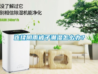 常見問題連續(xù)陰雨被子潮濕怎么辦？