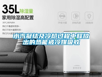 知識(shí)百科水汽凝結(jié)及冷卻過程中釋放出的熱能被冷媒吸收