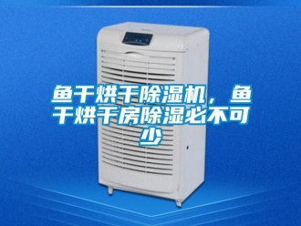 知識百科魚干烘干除濕機，魚干烘干房除濕必不可少