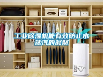 企業(yè)新聞工業(yè)除濕機能有效防止水蒸汽的凝聚