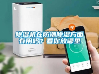 常見(jiàn)問(wèn)題除濕機(jī)在防潮除濕方面有用嗎？看你放哪里