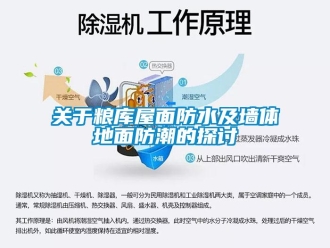 常見問題關(guān)于糧庫屋面防水及墻體地面防潮的探討