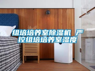 知識(shí)百科組培培養(yǎng)室除濕機(jī) 嚴(yán)控組培培養(yǎng)室濕度