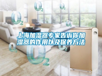 知識百科上海加濕器專家告訴你加濕器的作用以及保養(yǎng)方法