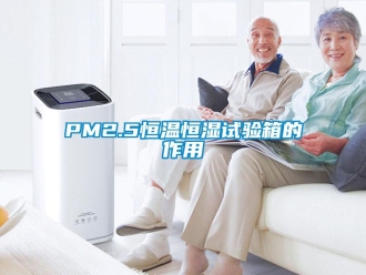 常見問題PM2.5恒溫恒濕試驗箱的作用