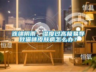 常見問題連綿陰雨，濕度過高極易導(dǎo)致貓咪皮膚病怎么辦？