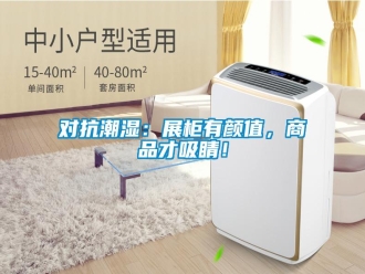 企業(yè)新聞對抗潮濕：展柜有顏值，商品才吸睛！