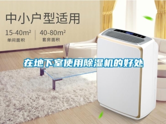 知識百科在地下室使用除濕機(jī)的好處
