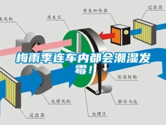 行業(yè)新聞梅雨季連車內(nèi)都會(huì)潮濕發(fā)霉！