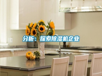 企業(yè)新聞分析：探索除濕機(jī)企業(yè)
