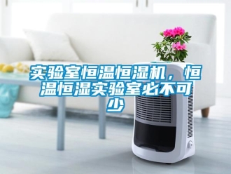 知識百科實(shí)驗(yàn)室恒溫恒濕機(jī)，恒溫恒濕實(shí)驗(yàn)室必不可少