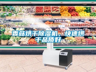 知識百科香菇烘干除濕機，快速烘干品質(zhì)好