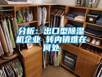 企業(yè)新聞分析：出口型除濕機(jī)企業(yè) 轉(zhuǎn)內(nèi)銷(xiāo)難在何處