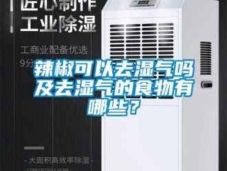 常見問題辣椒可以去濕氣嗎及去濕氣的食物有哪些？