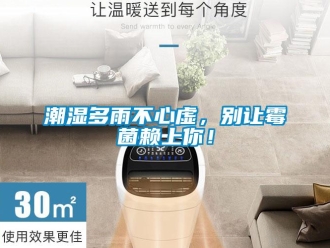 企業(yè)新聞潮濕多雨不心虛，別讓霉菌賴上你！