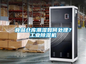 常見(jiàn)問(wèn)題食品倉(cāng)庫(kù)潮濕如何處理？工業(yè)除濕機(jī)