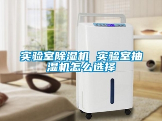 常見問(wèn)題實(shí)驗(yàn)室除濕機(jī) 實(shí)驗(yàn)室抽濕機(jī)怎么選擇