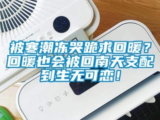 常見問題被寒潮凍哭跪求回暖？回暖也會被回南天支配到生無可戀！