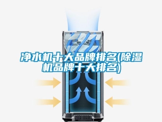 企業(yè)新聞凈水機(jī)十大品牌排名(除濕機(jī)品牌十大排名)
