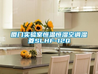 知識(shí)百科廈門實(shí)驗(yàn)室恒溫恒濕空調(diào)濕菱SLHF-12Q