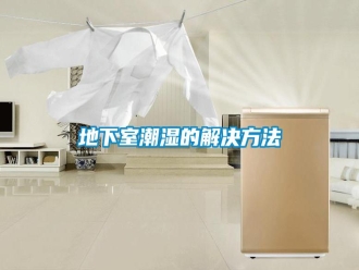 企業(yè)新聞地下室潮濕的解決方法