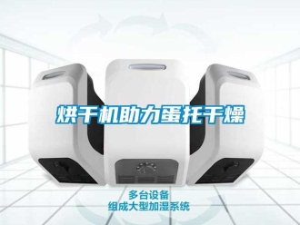 行業(yè)新聞烘干機(jī)助力蛋托干燥