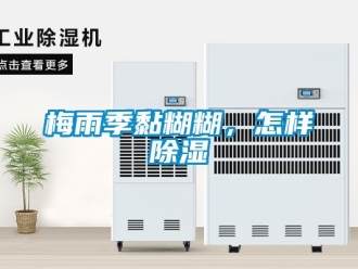 常見問題梅雨季黏糊糊，怎樣除濕