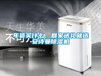 企業(yè)新聞年貨買什么，回家送禮就選安詩(shī)曼除濕機(jī)