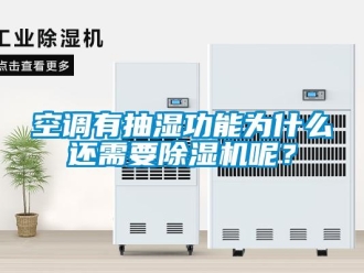 行業(yè)新聞空調(diào)有抽濕功能為什么還需要除濕機(jī)呢？