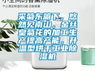 企業(yè)新聞采菊東籬下，悠然見南山，金絲皇菊花的加工生產(chǎn)提高產(chǎn)能，升溫型烘干工業(yè)除濕機(jī)